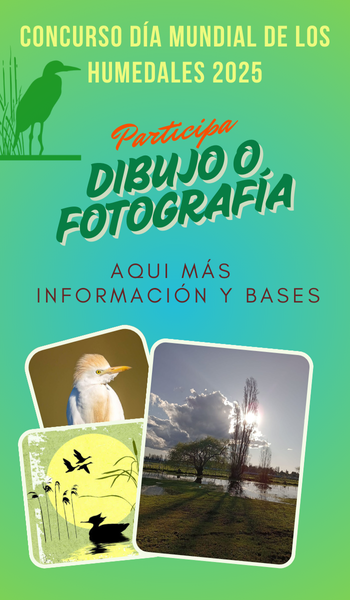 Click más información